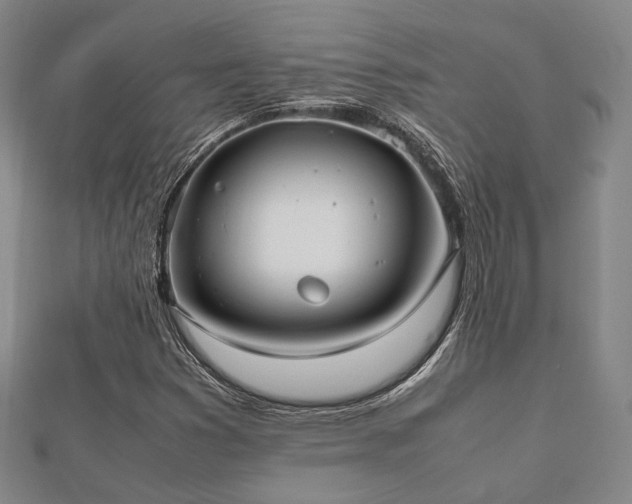 X0000112491353200908171238