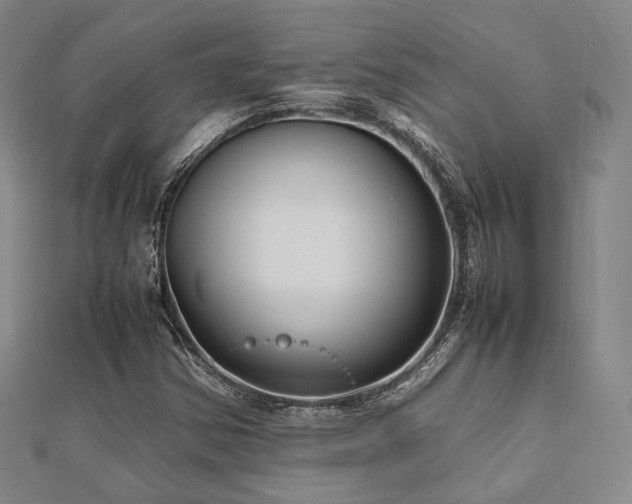 X0000112491354200908171238