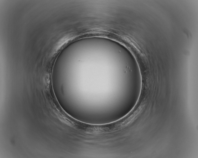 X0000112491355200908171238