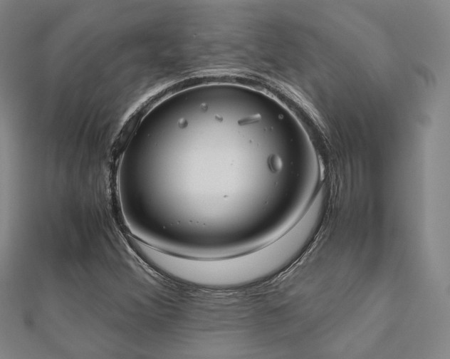 X0000112491356200908171238