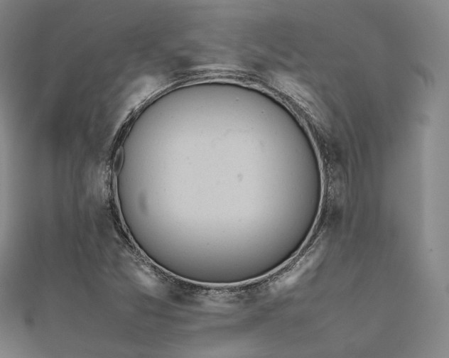 X0000112491357200908171238