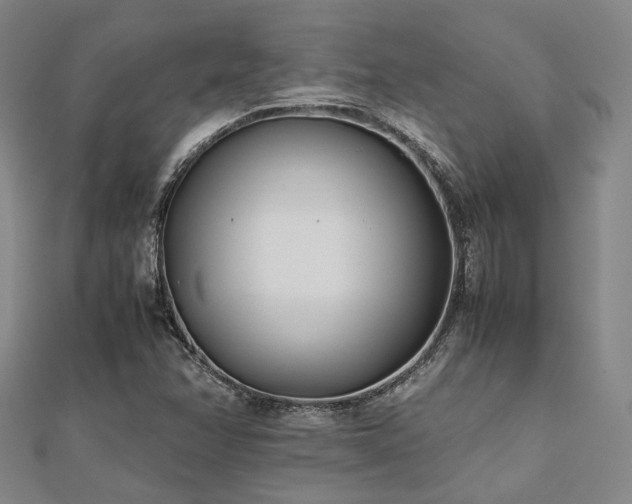 X0000112491358200908171238