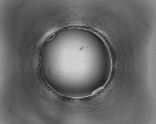 X0000112491359200908171238