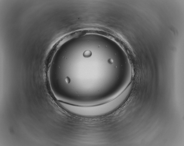 X0000112491360200908171238