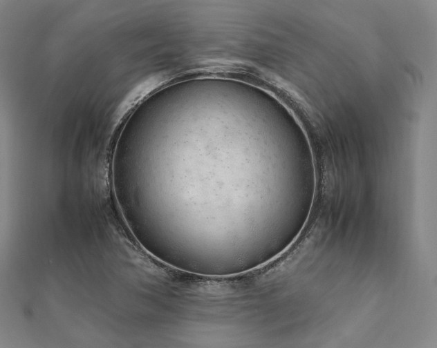 X0000112491362200908171238