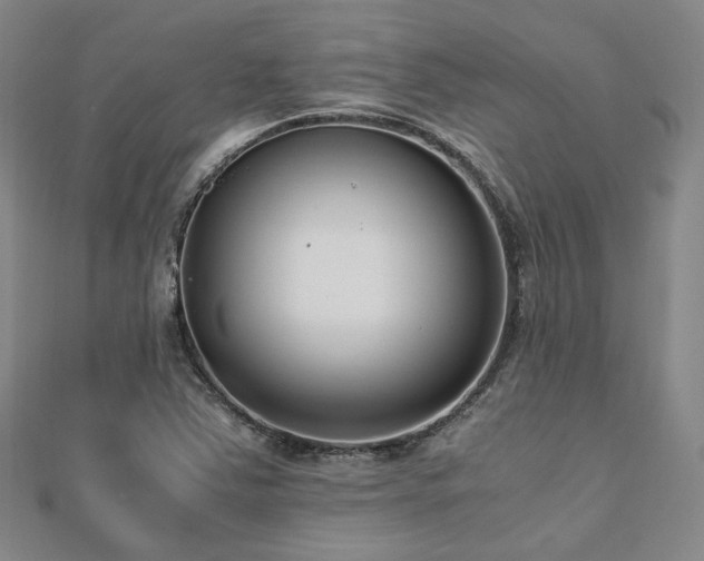 X0000112491363200908171238