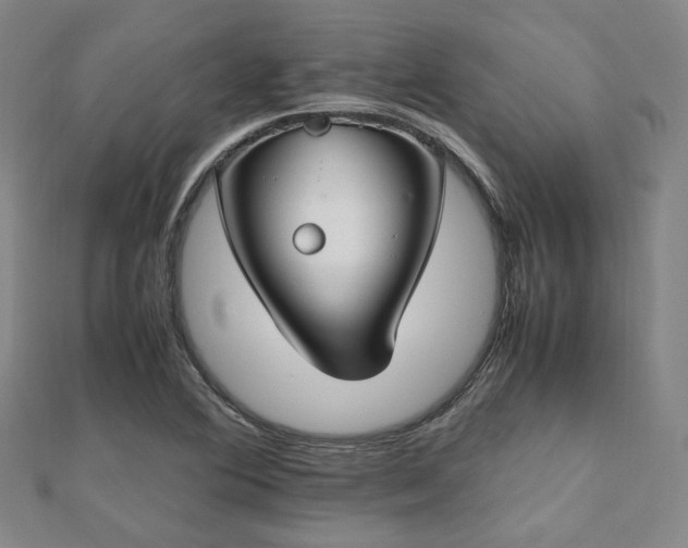 X0000112491364200908171238