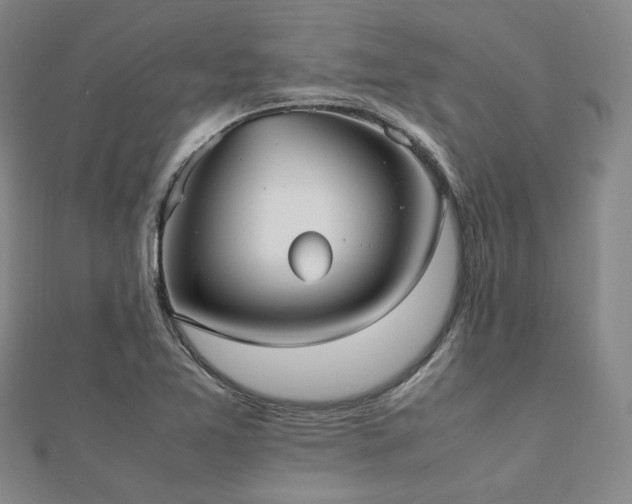 X0000112491365200908171238