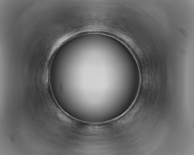 X0000112491366200908171238