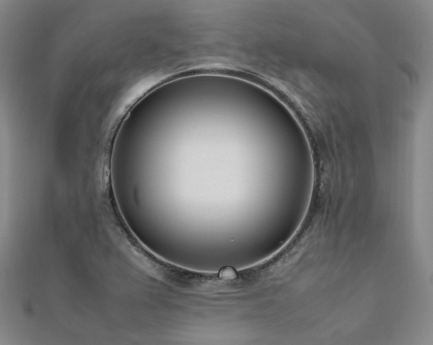 X0000112491367200908171238