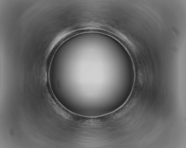 X0000112491368200908171238