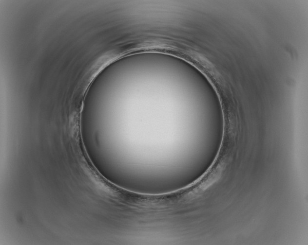 X0000112491369200908171238