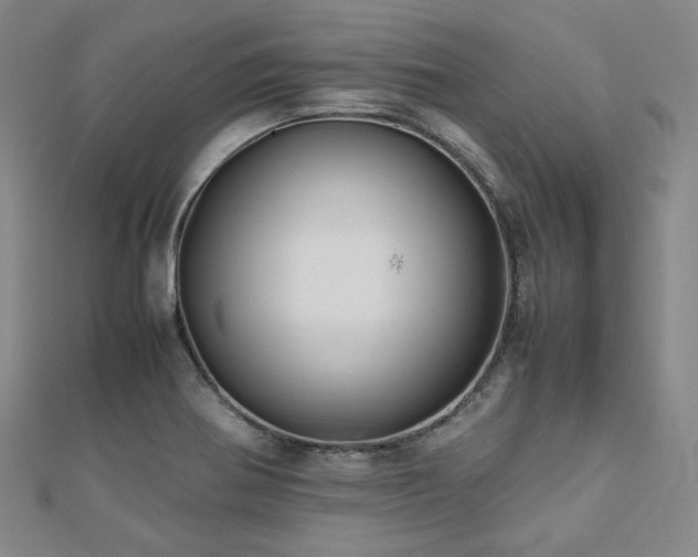 X0000112491370200908171238