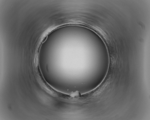 X0000112491371200908171238