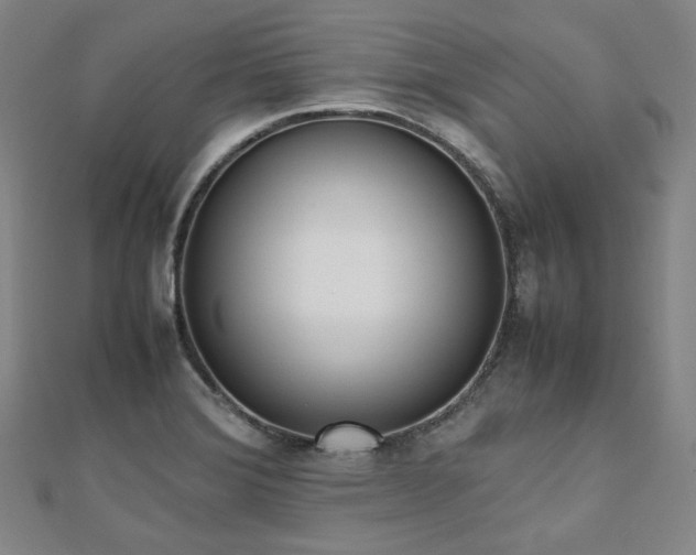 X0000112491372200908171238