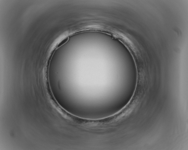 X0000112491373200908171238