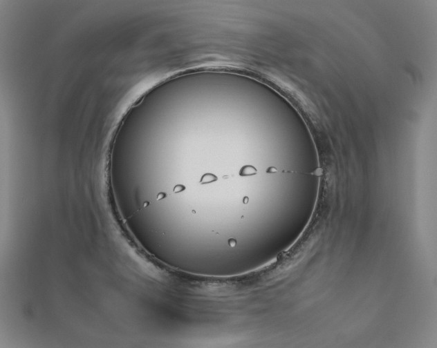 X0000112491375200908171238