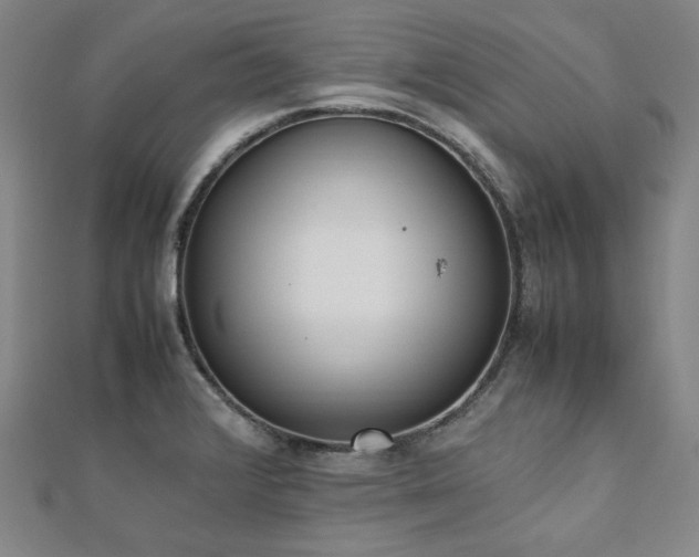 X0000112491376200908171238