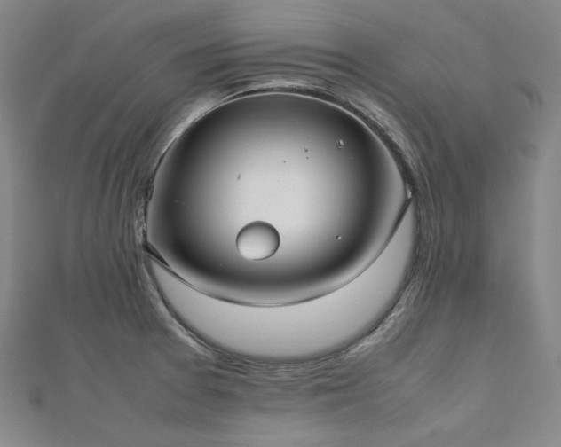 X0000112491377200908171238