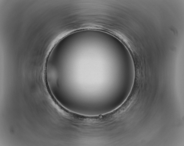 X0000112491379200908171238