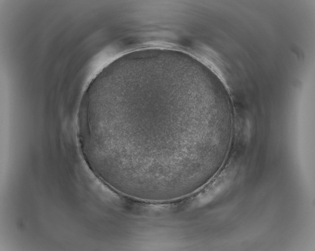 X0000112491381200908171238