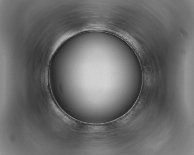 X0000112491382200908171238