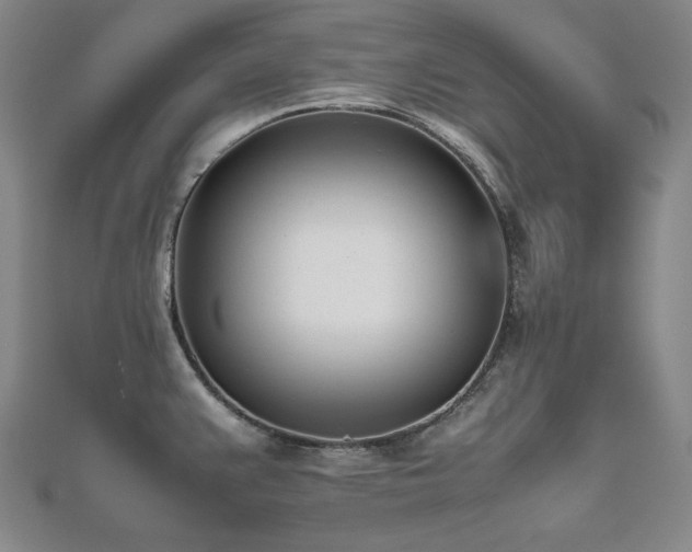 X0000112491383200908171238