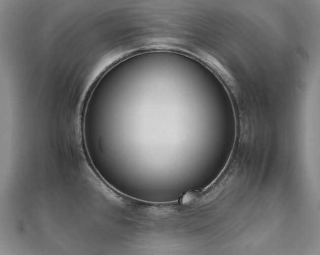 X0000112491384200908171238