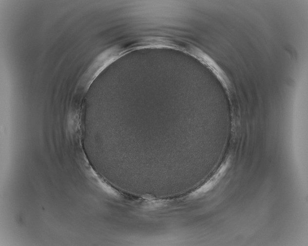 X0000112491385200908171238