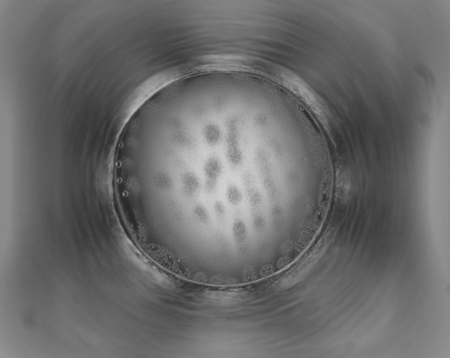X0000112491386200908171238