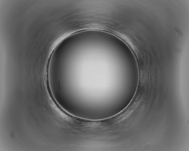 X0000112491387200908171238