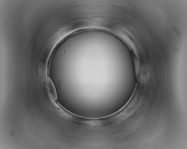X0000112491388200908171238