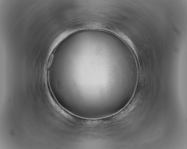 X0000112491389200908171238