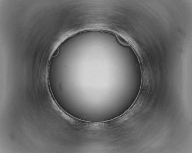 X0000112491390200908171238