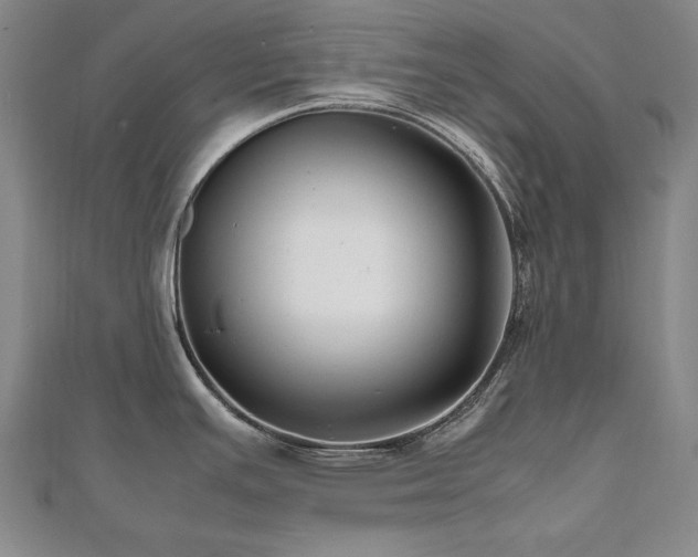 X0000112491391200908171238