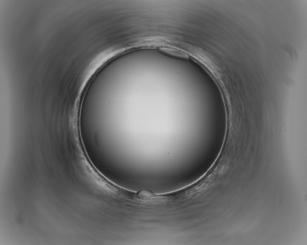 X0000112491392200908171238