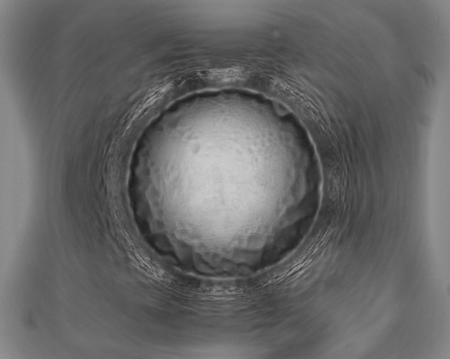 X0000112491393200908171237