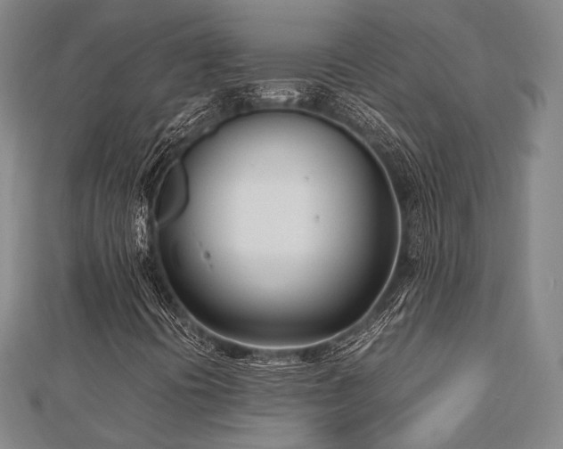 X0000112491394200908171237
