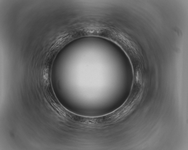 X0000112491396200908171237