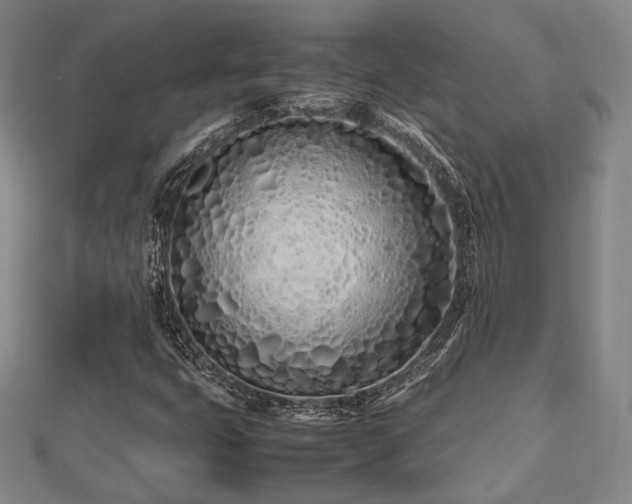 X0000112491399200908171237