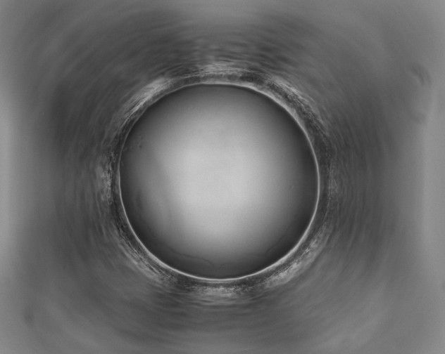 X0000112491401200908171237