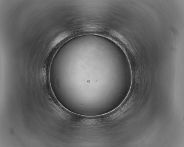 X0000112491402200908171237