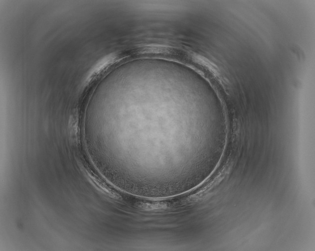 X0000112491403200908171237