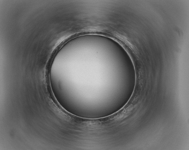 X0000112491404200908171237
