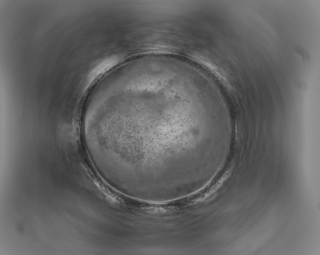 X0000112491405200908171237