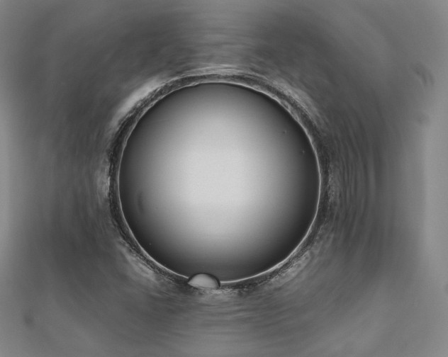 X0000112491406200908171237
