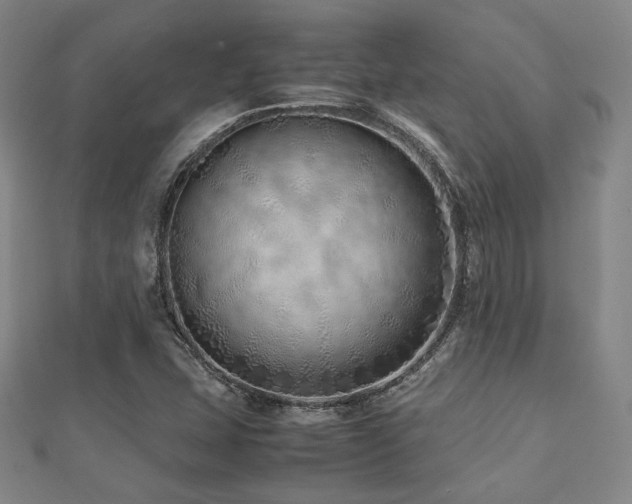 X0000112491407200908171237