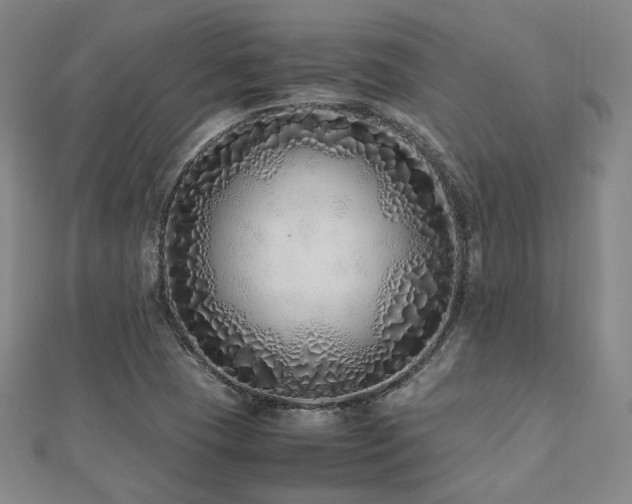 X0000112491409200908171237