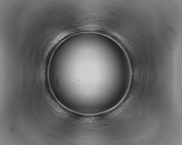 X0000112491410200908171237