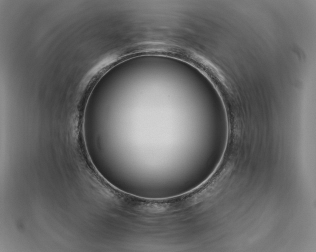 X0000112491411200908171237